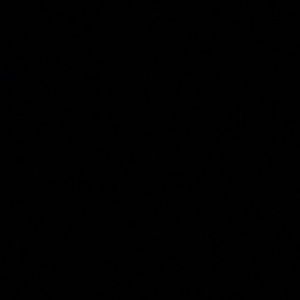 Meet your Posher, Tia